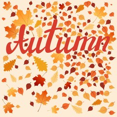 autumn leaves on a beige background and the inscription autumn