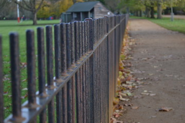 fence