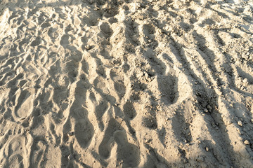 footprints on the soft sand