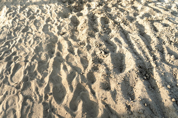 footprints on the soft sand