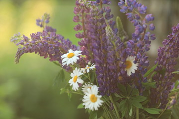 Bouquet of summer flowers, daisy, blue and white flowers on nature background