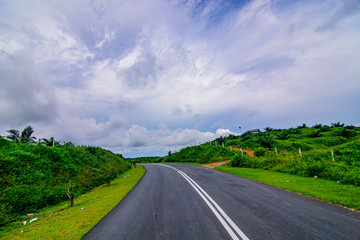 Palm oil tree replant in plantation at Malaysia