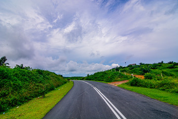 Palm oil tree replant in plantation at Malaysia