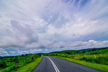 Palm oil tree replant in plantation at Malaysia