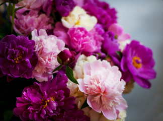 Fototapeta na wymiar Beautiful flowers, peonies. Elegant bouquet of a lot of peonies of pink and red color close up.