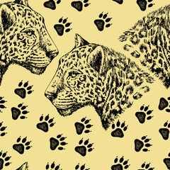 Leopard and paw prints pattern