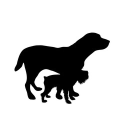 Vector silhouette of couple of dogs. Symbol of animal friends on white background.