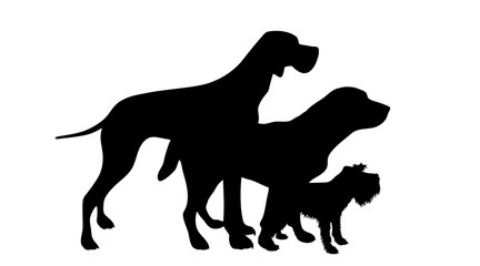 Vector silhouette of group of dogs. Symbol of animal friends on white background.