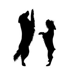 Vector silhouette of couple of dogs. Symbol of animal friends on white background.