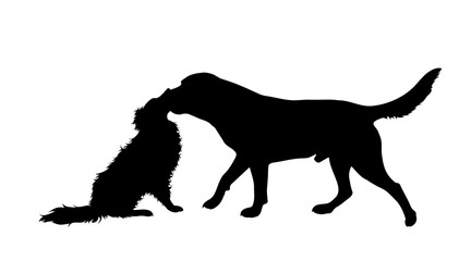 Vector silhouette of couple of dogs. Symbol of animal friends on white background.