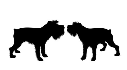 Vector silhouette of couple of dogs. Symbol of animal friends on white background.