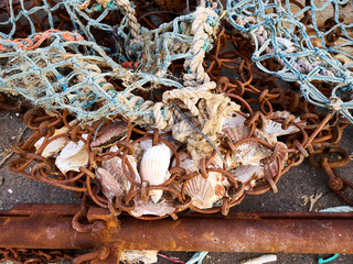 Hafen in Port-en-Bessin-Huppain