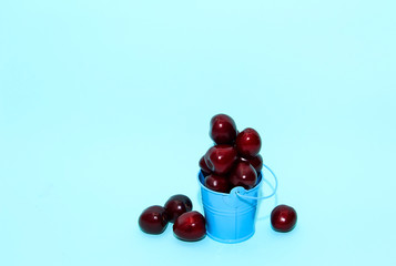 Fresh cherry in blue bucket on blue paper background. Fresh ripe cherries. Sweet cherries.