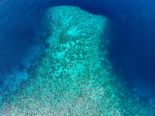 Aerial top down coral reef tropical caribbean sea, turquoise blue water. Indonesia Wakatobi archipelago, marine national park, tourist diving boat travel destination