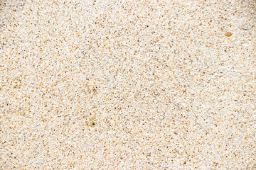 Beige painted grunge wall rough texture