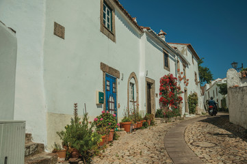 Fototapeta premium Old whitewashed houses and flowered shrubs in cobblestone alley