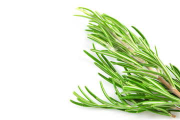 Fresh branch of rosemary herb isolated on white background