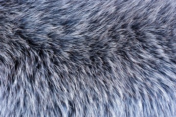 Fur of fur-bearing animals — tanned skins with wool. Fur — mammalian hair, protects from winter...