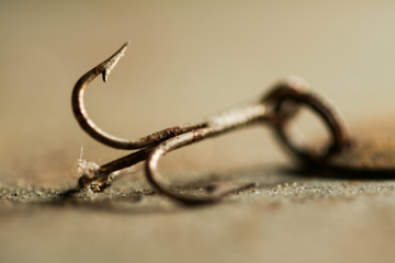 Fish Hook