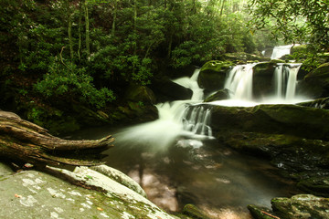 Waterfall in a Forest