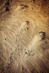 Beach Sand