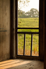 Screen Door