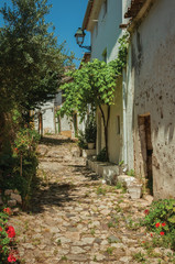Fototapeta na wymiar Old whitewashed houses and flowered shrubs