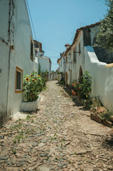 Fototapeta na wymiar Whitewashed houses and flowered pots in a cobblestone alley