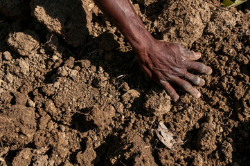 Farmers Hand
