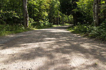 A dirt road through a forest.  Mackinac Island State Park, MI, USA.