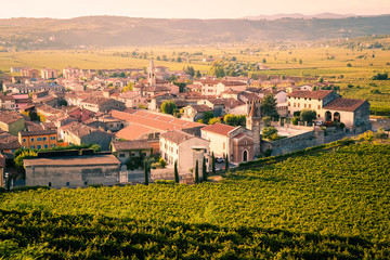 Obraz premium View of Soave (Italy) surrounded by vineyards.