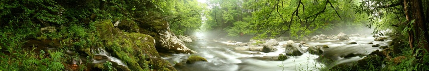 Panorama of a river flowing through a forest.  Great Smoky Mountains, TN, USA.