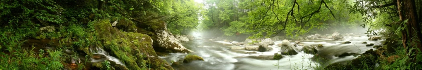 Wall stickers Forest river Panorama of a river flowing through a forest.  Great Smoky Mountains, TN, USA.