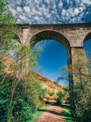 Fototapeta na wymiar Glenfinnan viaduct and historical train in Scotland