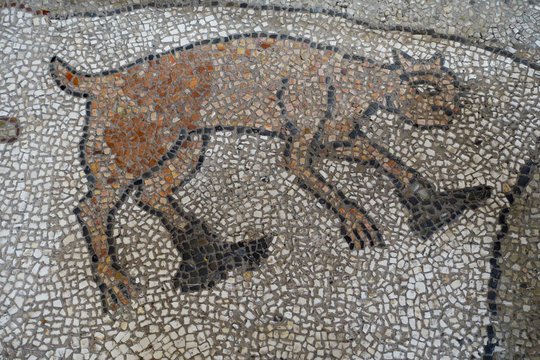 mosaique le chat bott&eacute;