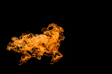 Fire a flame in the shape of a lamb or a sheep. Fire flames on black background isolated. fire patterns
