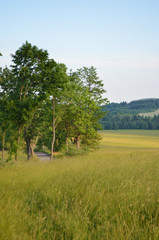 Riesengebirge