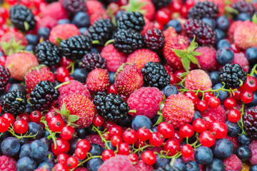 black berry red currant strawberries mulberry and raspberry berries for health background