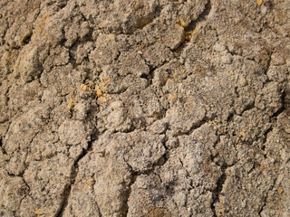Cracked clay-sandy brown soil.