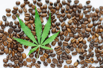 Coffee beans with marijuana leaves background top view.  Green cannabis leaf on coffee beans background with place for copy space