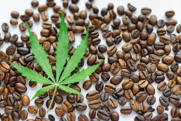 Coffee beans with marijuana leaves background top view.  Green cannabis leaf on coffee beans background with place for copy space