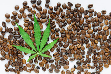 Coffee beans with marijuana leaves background top view.  Green cannabis leaf on coffee beans background with place for copy space