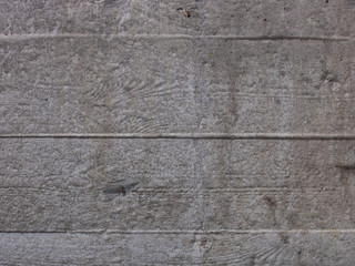 The imprint of wooden planks on gray concrete, horizontal.
