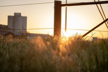 sunset in rural Nebraska