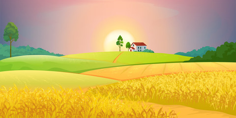Wheat fields. Village farm landscape with green hills and sunset. Vector bright illustration rural agricultural countryside with buildings and trees © SpicyTruffel