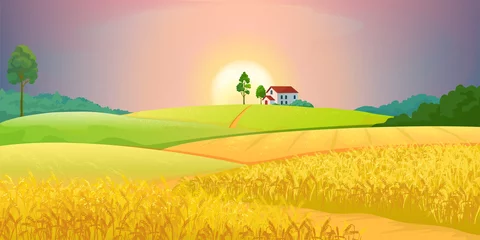 Gardinen Bauernhof Wheat fields. Village farm landscape with green hills and sunset. Vector bright illustration rural agricultural countryside with buildings and trees  © SpicyTruffel