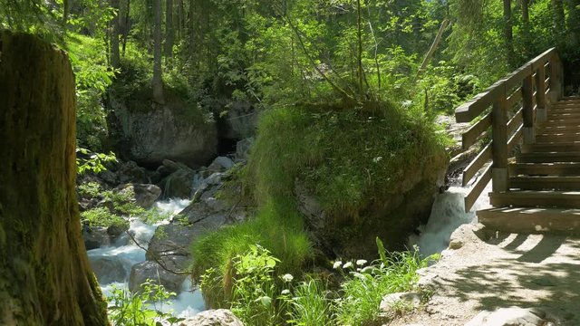 Beautiful creek with rocks on a hiking trail in Bavaria, magic forest Ramsau, Germany