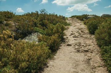 Trail passing through rocky terrain on highlands