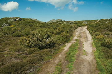 Trail passing through rocky terrain on highlands