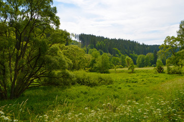 Fototapeta na wymiar Rehorngebirge